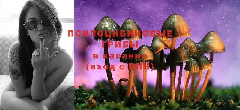 Галлюциногенные грибы MAGIC MUSHROOMS  закладки  Буй 